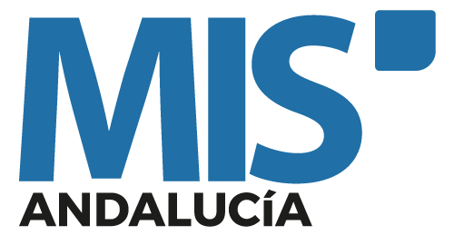 Logo de MIS International