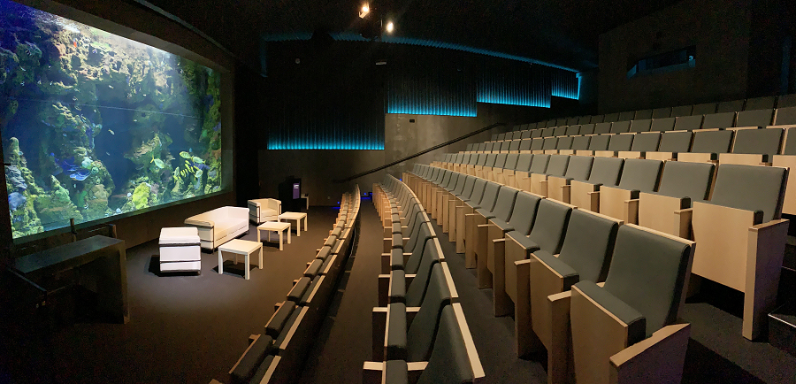 Imagen de AQUARIUM Donostia San Sebastián