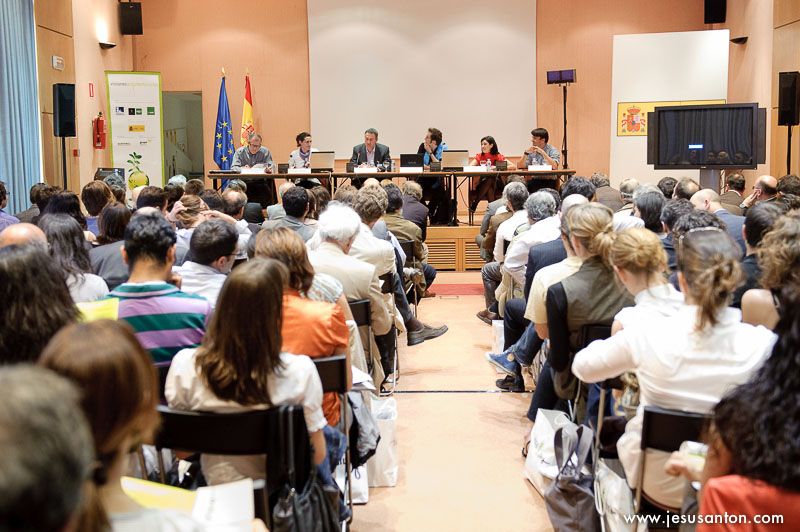 Photo of Jesús Antón 13