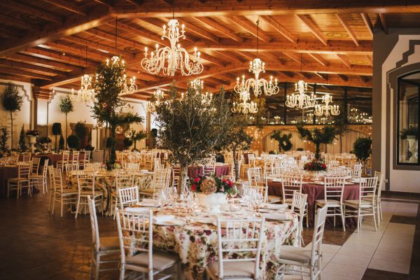 Photo of Masía Xamandreu 2