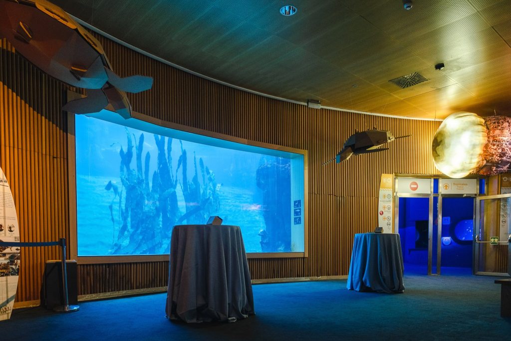 Photo of Oceanogràfic de Valencia 6