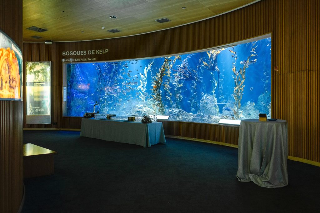 Photo of Oceanogràfic de Valencia 9