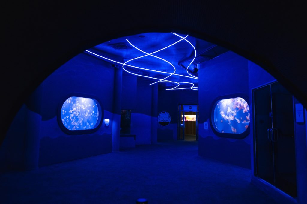 Photo of Oceanogràfic de Valencia 7