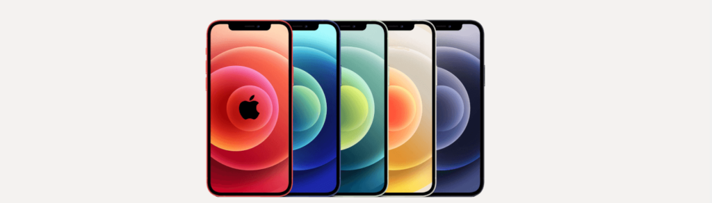 Foto de PAD IN THE CITY 3