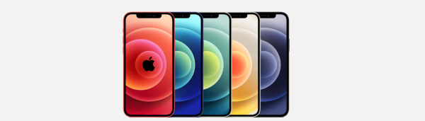 Foto de PAD IN THE CITY 3