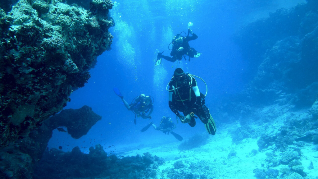 Photo of Benidorm DMC & Events 8