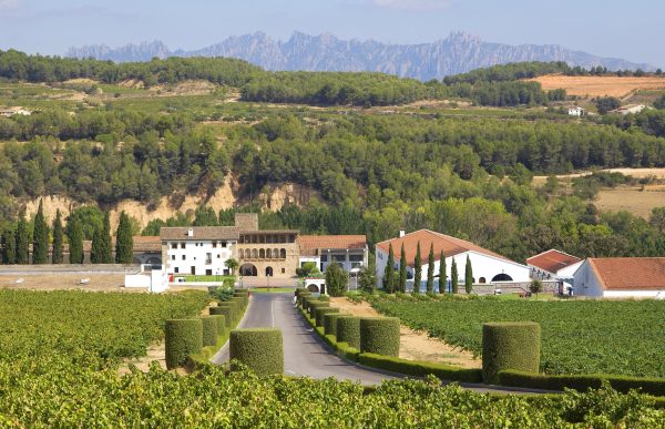 Photo of Segura Viudas 4