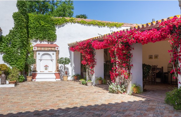 Photo of Hacienda de Orán 6