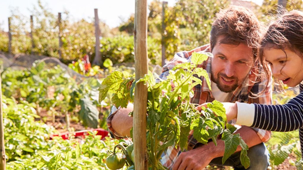 Foto de Dakari Brand Experience 6