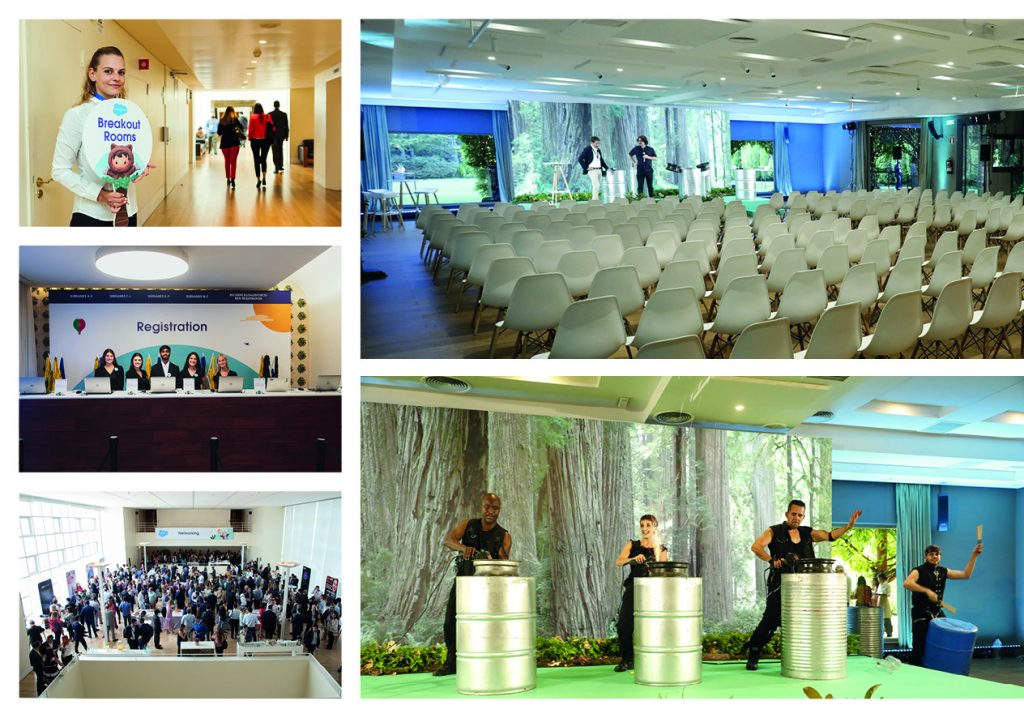 Photo of Planta 18 2