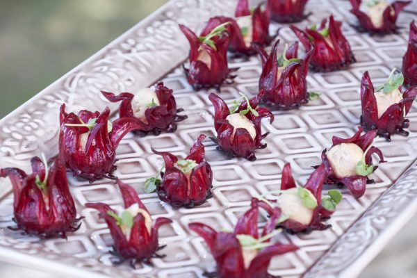 Medems catering