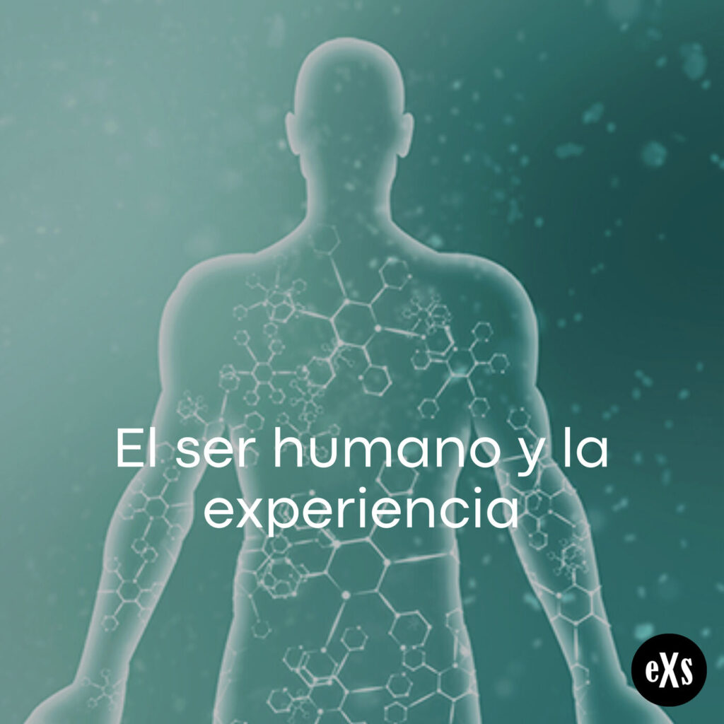 Imagen de El ser humano y la experiencia
