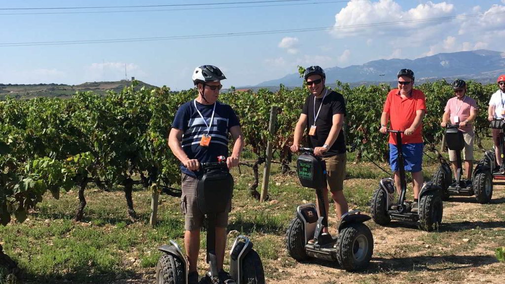 Imagen de Viñedos Cigarral Santa María Enoturismo