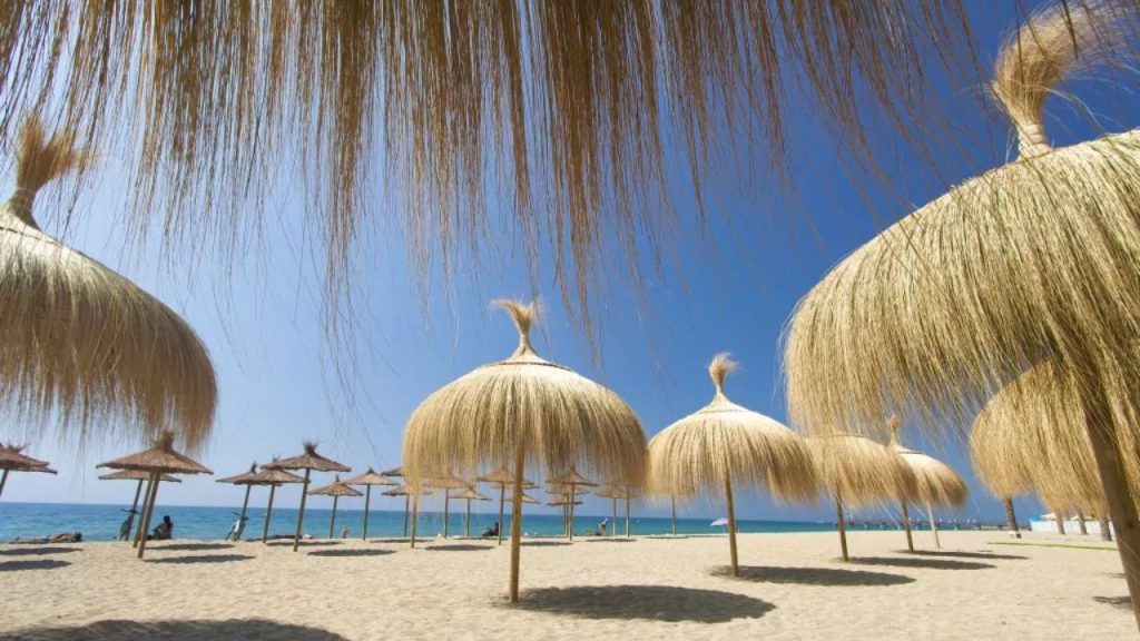 Photo of Marbella 10