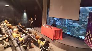 Imagen de Serviarium