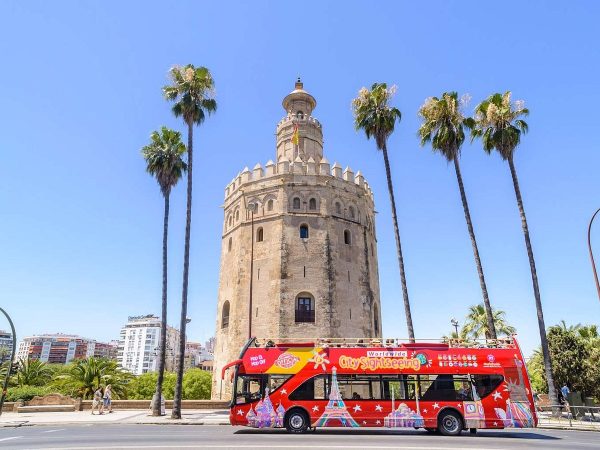 Foto de City Sightseeing 2