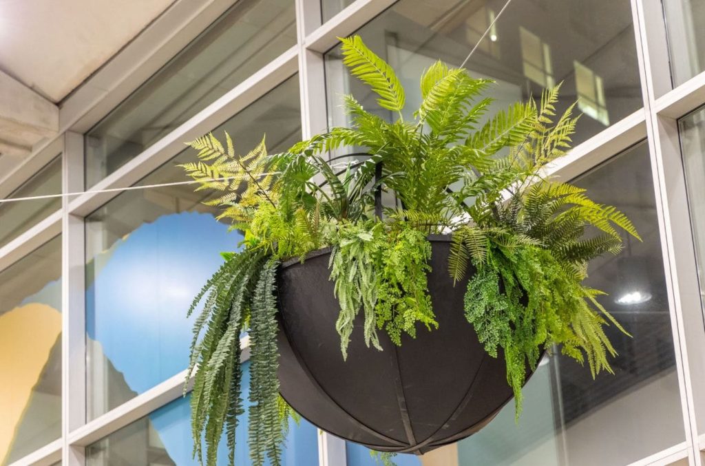 La nueva vegetación del Palacio de Congresos de València