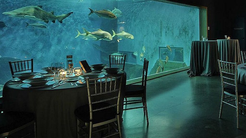 Foto de Acuario de Sevilla 4