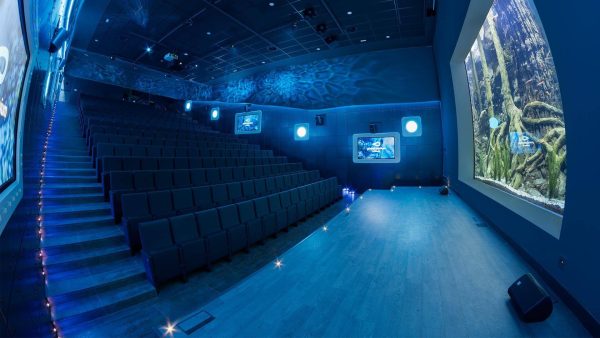 Foto de Acuario de Sevilla 2