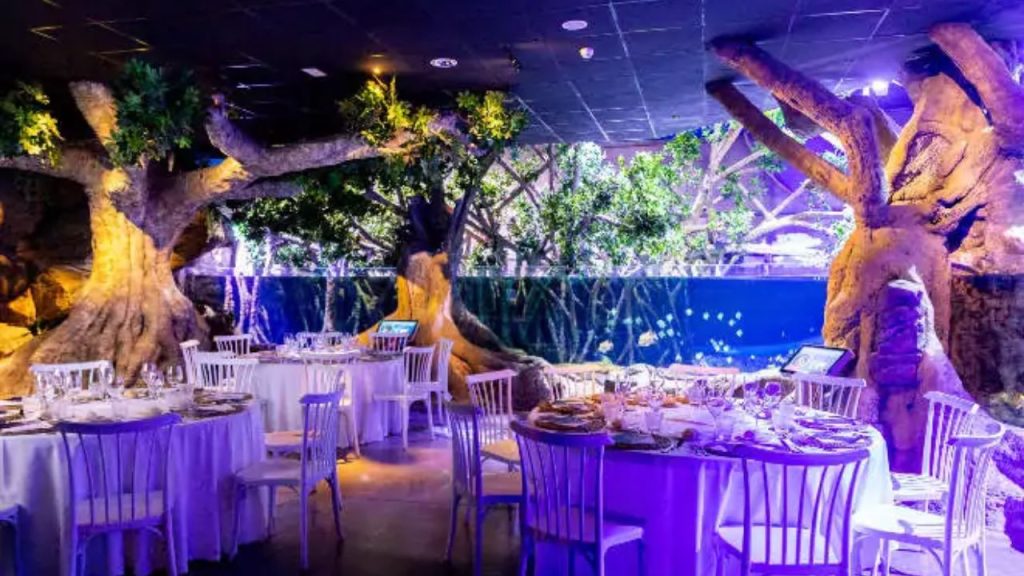 Foto de Acuario de Sevilla 3