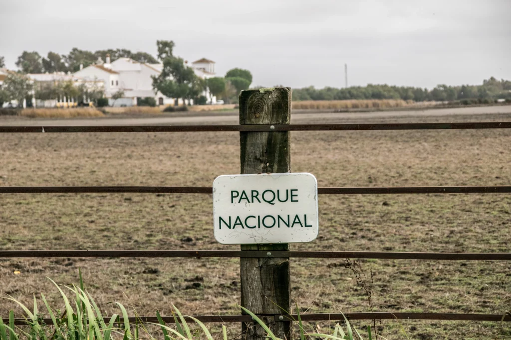 Foto de SUR THE LIFE EXPERIENCE 6