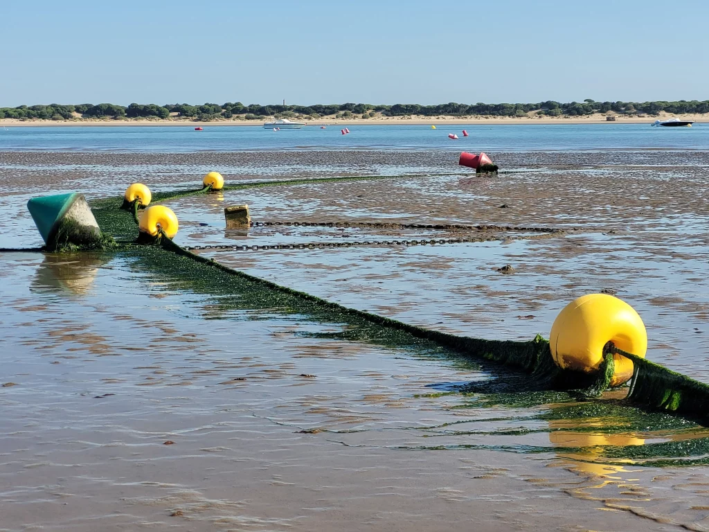 Foto de SUR THE LIFE EXPERIENCE 5