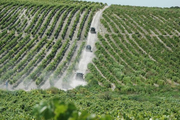 Photo of SUR THE LIFE EXPERIENCE 3