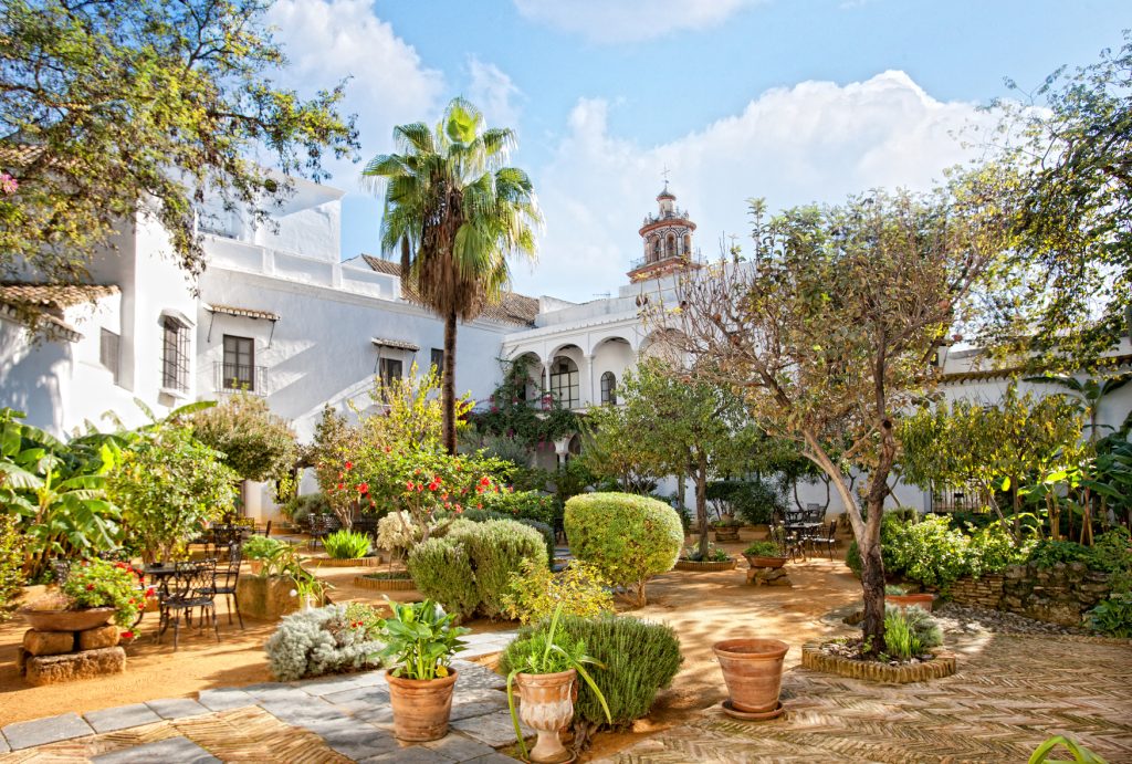 Foto de SUR THE LIFE EXPERIENCE 1