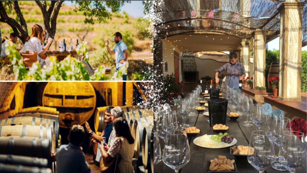 Photo of Nàutic Parc Costa Daurada i Terres de l’Ebre 7