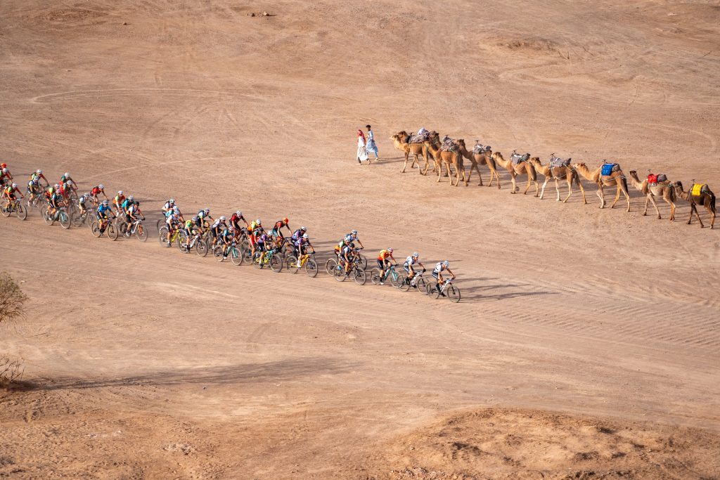 Disfruta con los eventos ganadores de los Premios eventoplus. Hoy, los ganadores en la categoría d