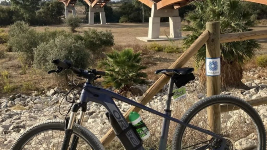 Foto de Fast Monkey Bike Rental 4