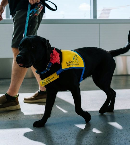 Expo+Accesible 2024 estrena formato con hosted buyers