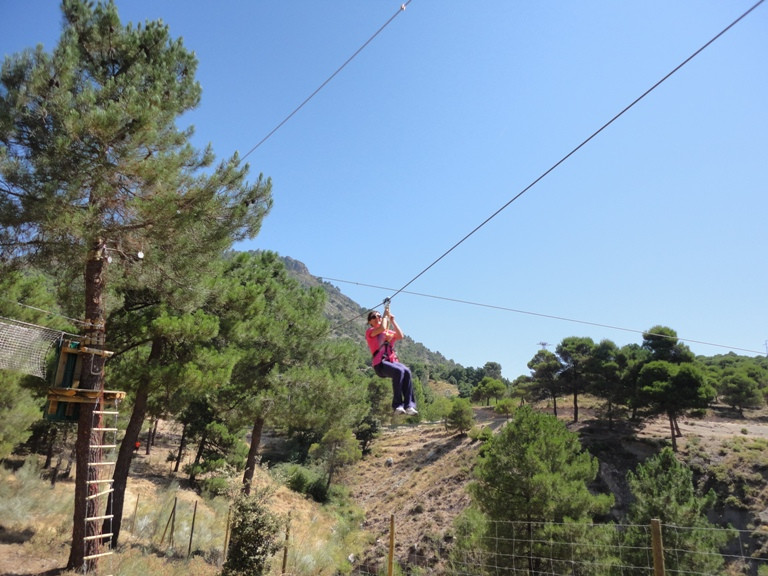 Imagen de Aventura entre Pinos