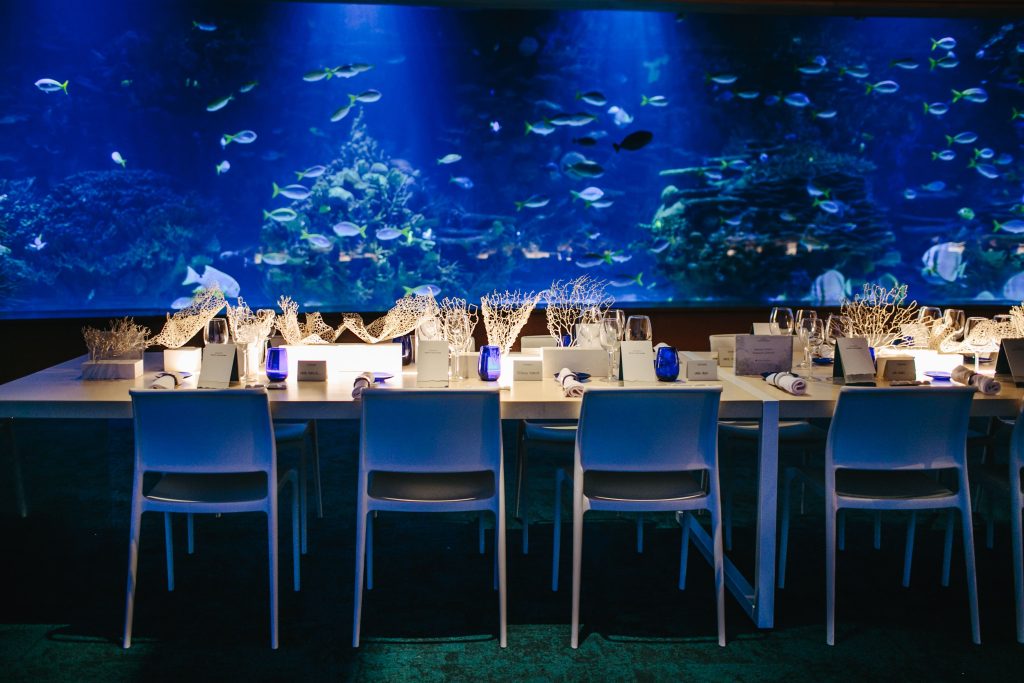 Oysho lanza su línea más sostenible en una pecera del Oceanogràfic de Valencia