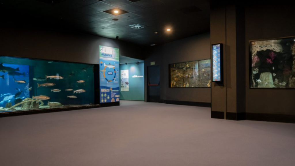 Photo of Bioparc – Acuario de Gijón 4