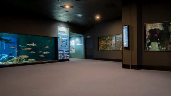 Foto de Bioparc – Acuario de Gijón 4