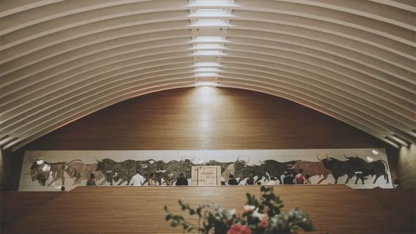 Foto de Palau de les Arts Reina Sofía – Sala Los Toros 4