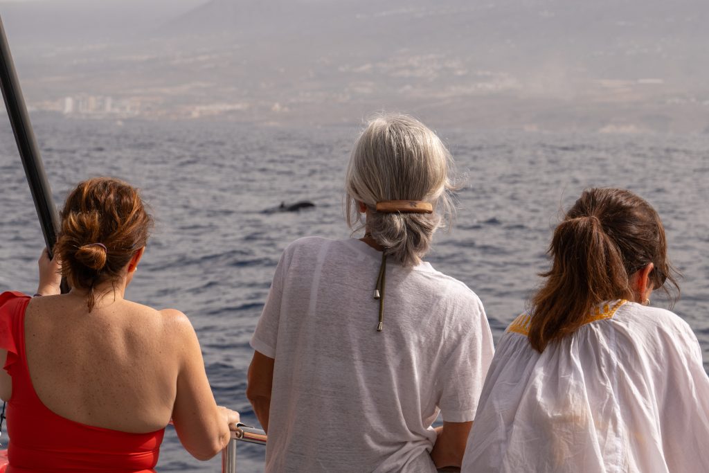 The Ultimate Tenerife Experience: Un viaje incansable por el corazón de Tenerife