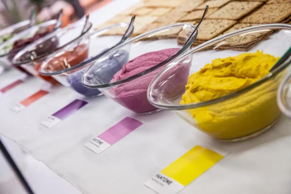 Photo of Food and Mambo 3