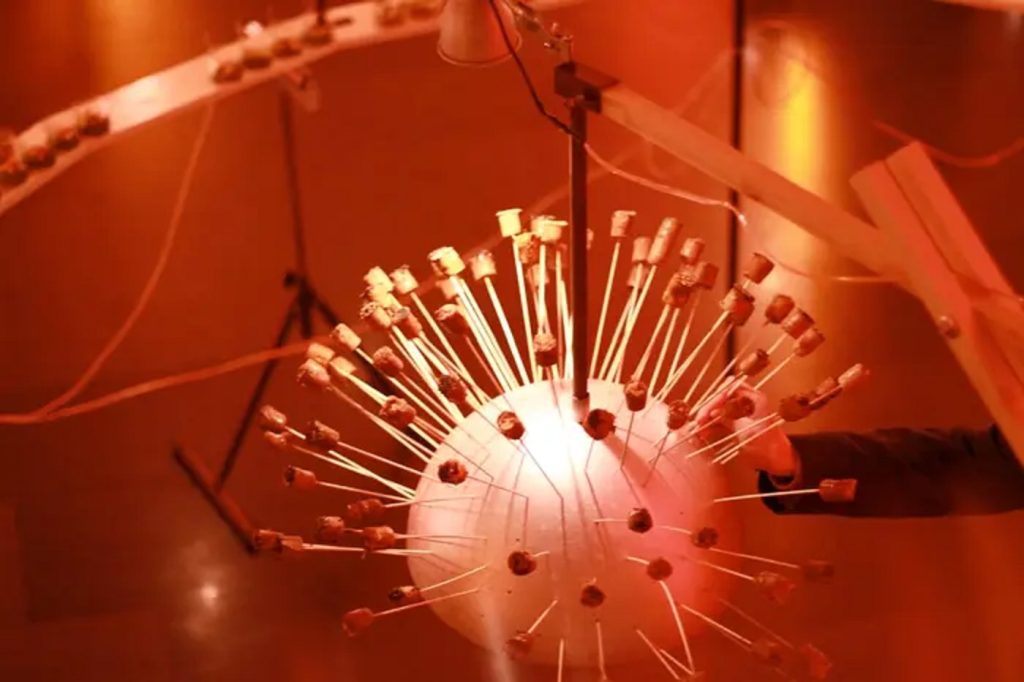 Foto de Food and Mambo 6