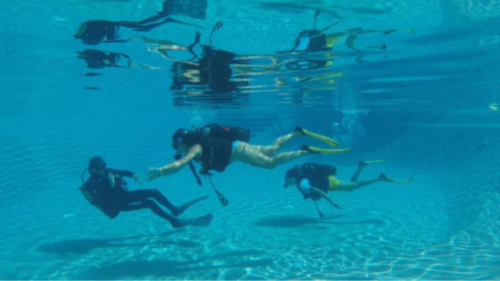 Photo of La Ballena Alegre 4