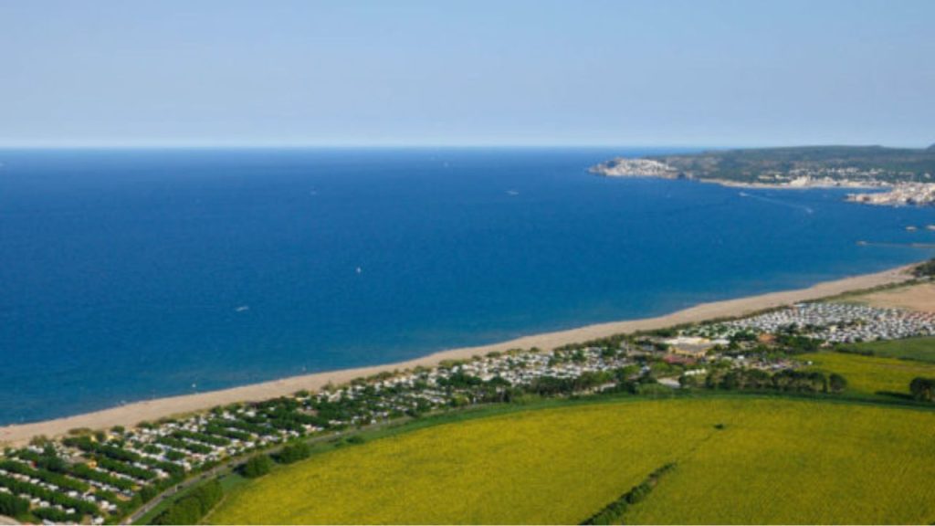 Photo of La Ballena Alegre 6