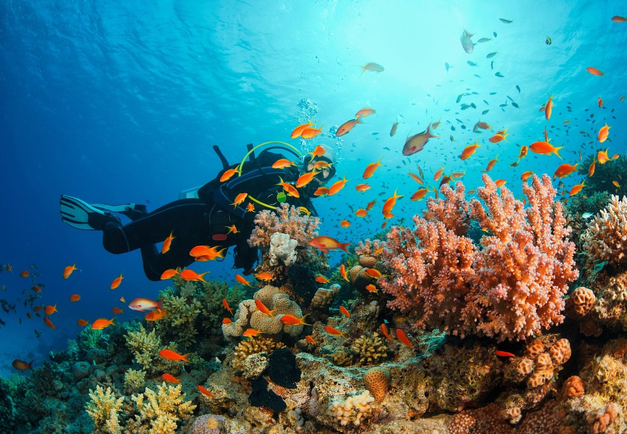 Eventos en Región de Murcia