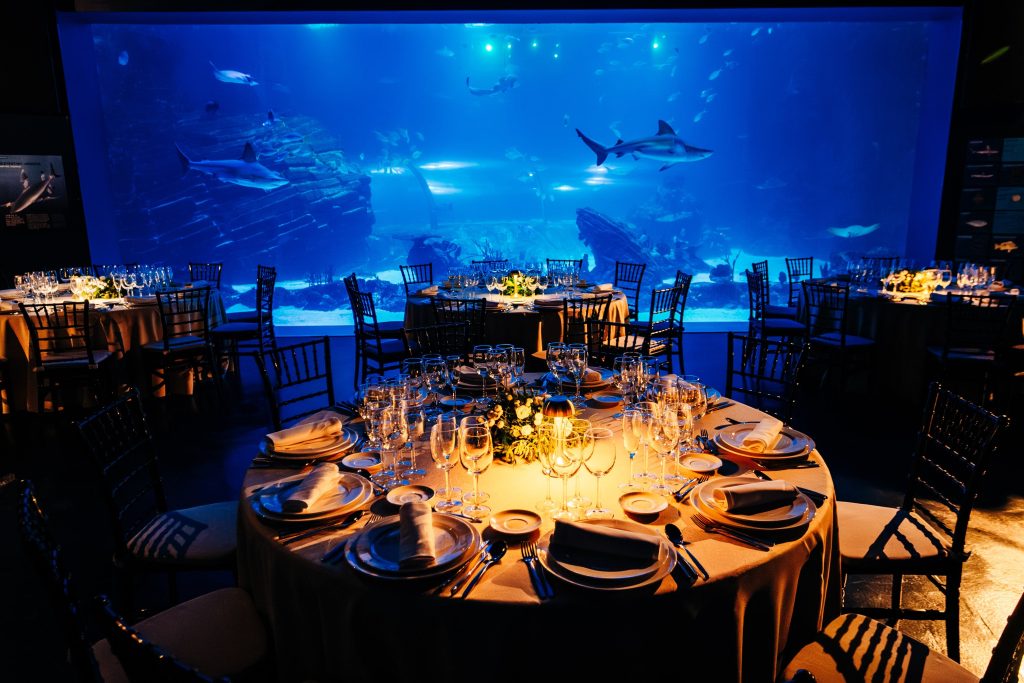 Celebra en Atlantis Aquarium un evento único, y sostenible, bajo el mar 