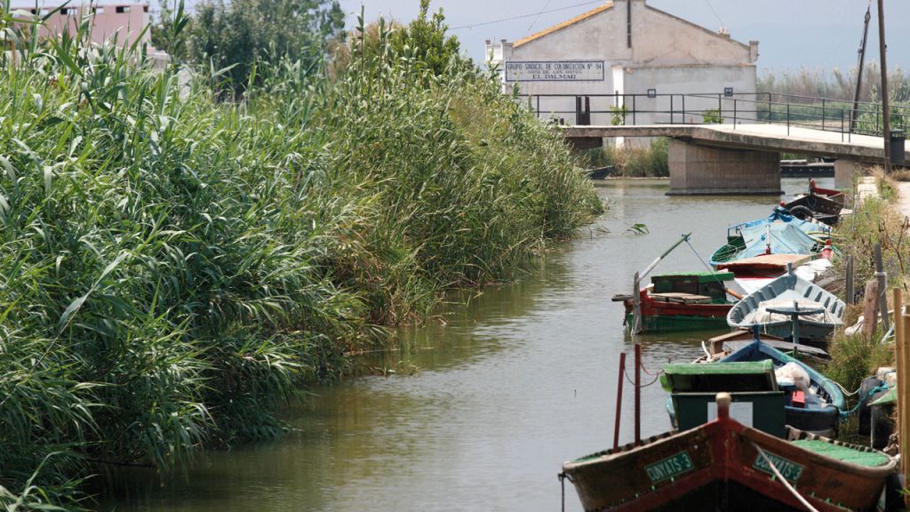 Photo of Valencia DMC 5