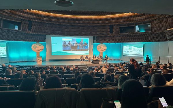 Photo of GRUPO PROCESS 3