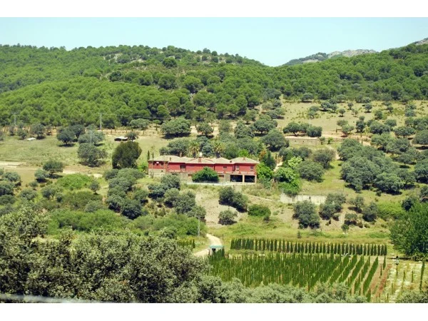 Imagen de Finca Las Tres Jotas