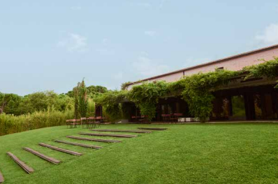 Photo of Finca Astilbe 6