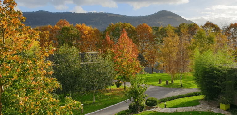 Photo of Astei Taldea 4