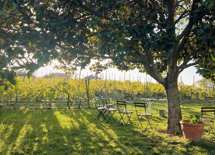 Abile organiza un incentivo en Roma para invitados y personas favoritas